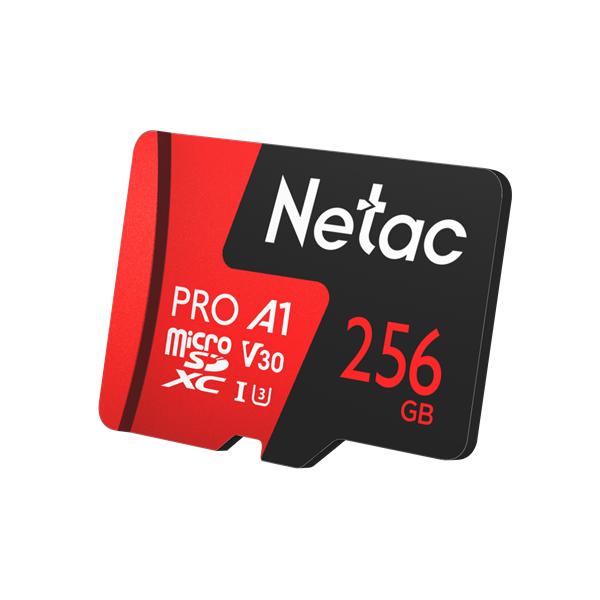 Носитель информации Netac P500 Extreme 256GB Pro MicroSDXC V30/A1/C10 up to 100MB/s, retail pack card only