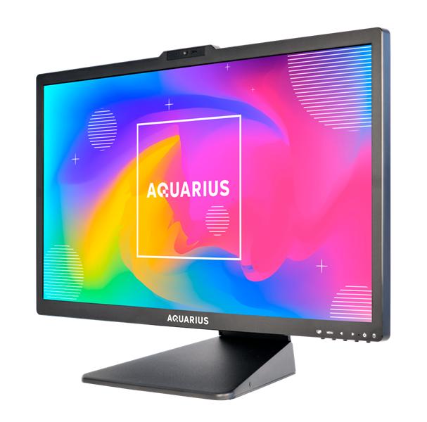 Моноблок Aquarius Mnb Pro Pro T314 R53   23.8" FHD IPS AMD Athlon 3000G, 3.5Ghz, 2C/4T, 4MB, AM4/8GB/SSD 256 Gb/No OS/Kb+Mouse.Camera 2 Mpix/МПТ