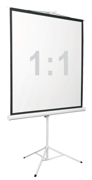  Экран на штативе Digis DSKD-1104, формат 1:1, 96" (178x181), MW, Kontur-D
