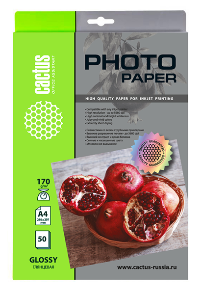Фотобумага Cactus CS-GA417050 A4/170г/м2/50л./белый глянцевое для струйной печати Фотобумага Cactus CS-GA417050 A4/170г/м2/50л./белый глянцевое для струйной печати