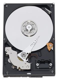 Жесткий диск Western Digital HDD SATA-III  1000Gb (1Tb) Blue WD10EZEX, 7200rpm, 64MB buffer, 1 year