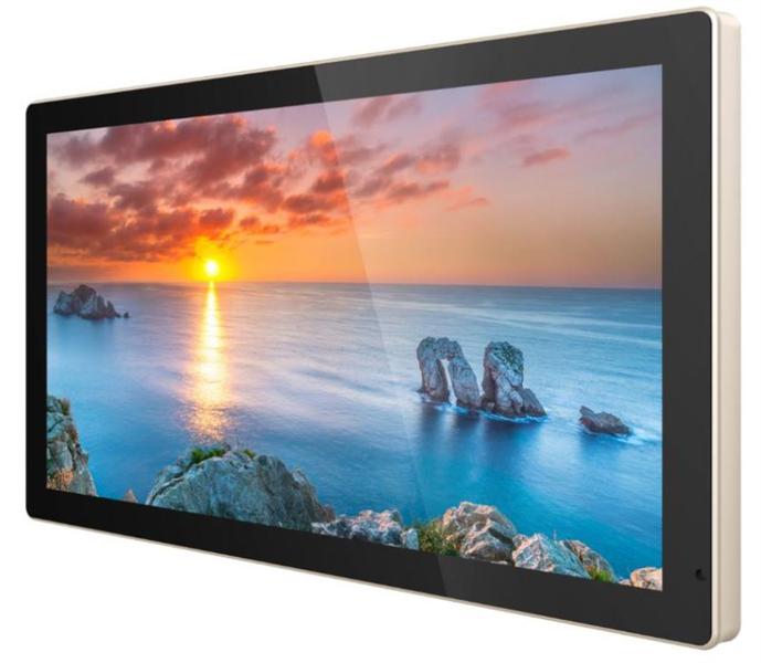 Профессиональный дисплей Goodview 22" PCAP display, 250 cd/m2, 24/7, FHD, aluminium frame, 10 points