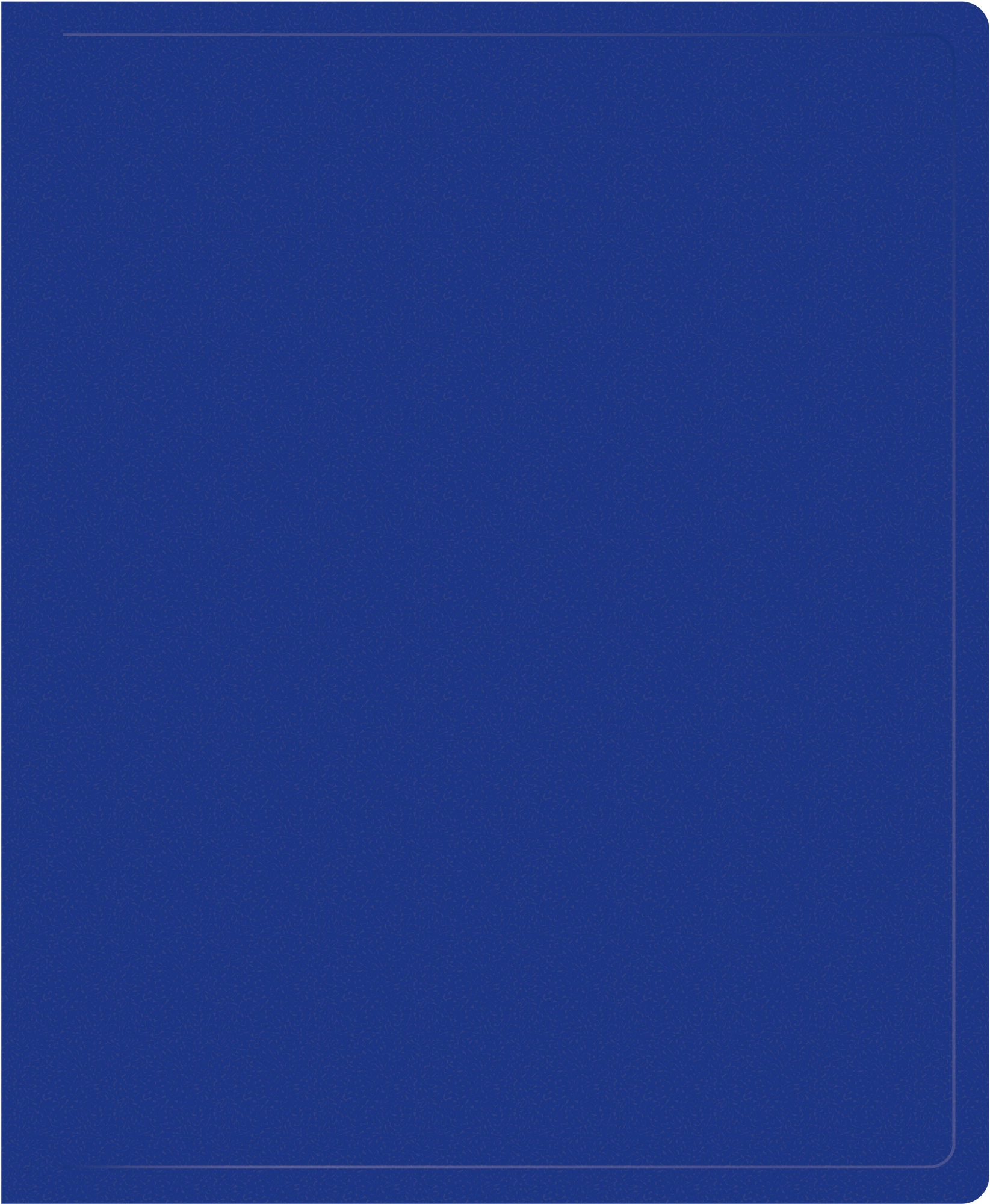 Папка на 2-х кольцах Silwerhof SE-0420/2RBLU A4 пластик 0.5мм кор.30мм синий