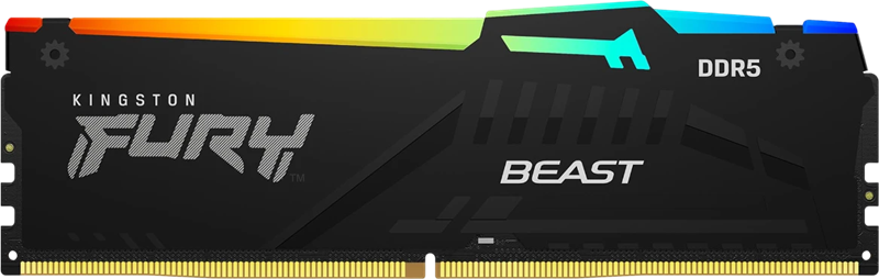 Оперативная память Kingston 16GB 6400MT/s DDR5 CL32 DIMM FURY Beast RGB EXPO Оперативная память Kingston 16GB 6400MT/s DDR5 CL32 DIMM FURY Beast RGB EXPO