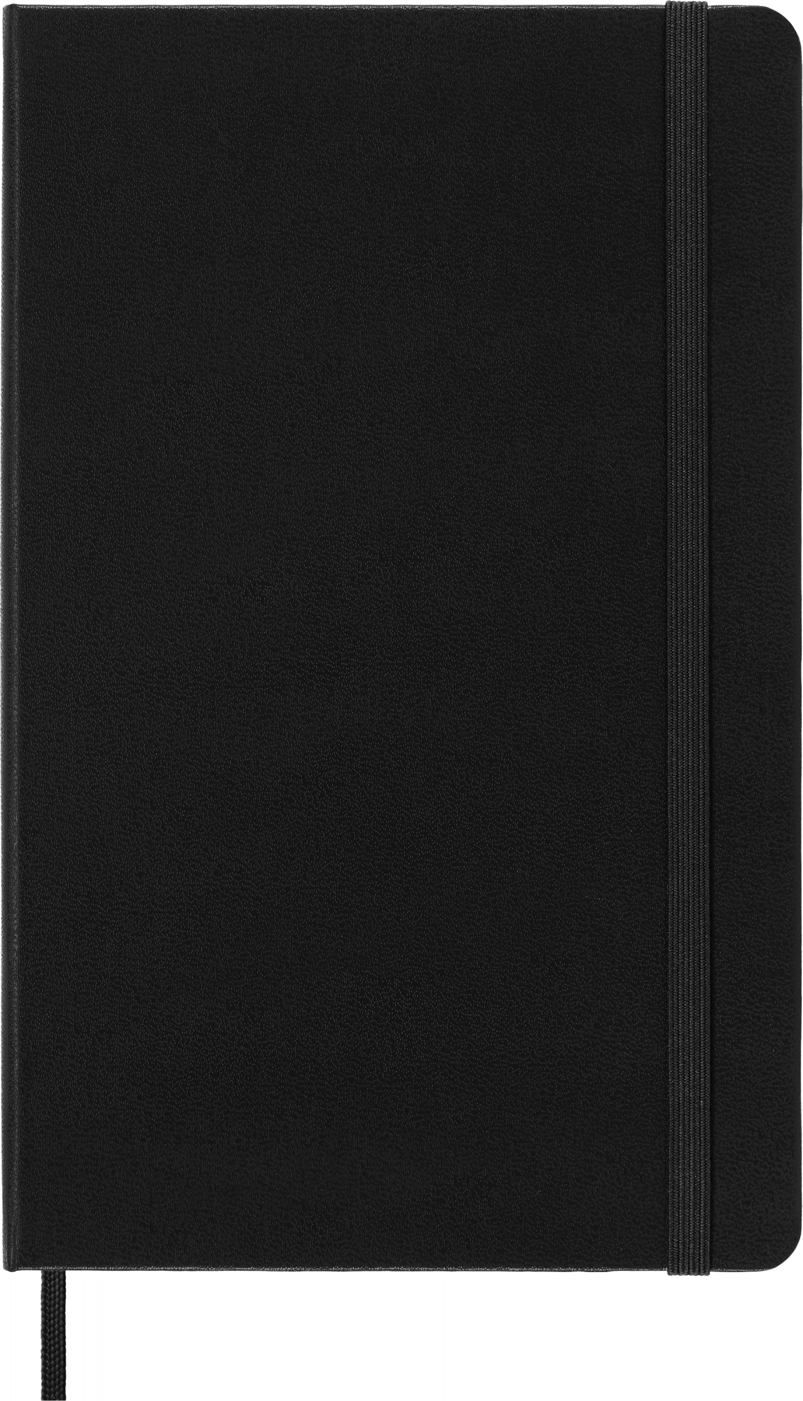 Блокнот Moleskine PROFESSIONAL PROPFNTB3HBK Large 130х210мм 240стр. линейка твердая обложка черный Блокнот Moleskine PROFESSIONAL PROPFNTB3HBK Large 130х210мм 240стр. линейка твердая обложка черный