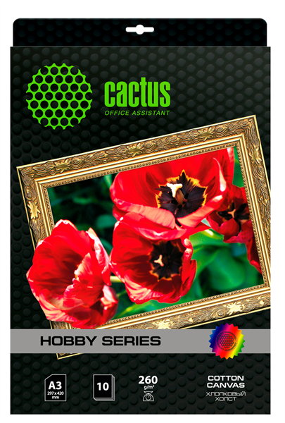 Холст Cactus CS-CA326010 A3/260г/м2/10л./белый хлопок для струйной печати Холст Cactus CS-CA326010 A3/260г/м2/10л./белый хлопок для струйной печати