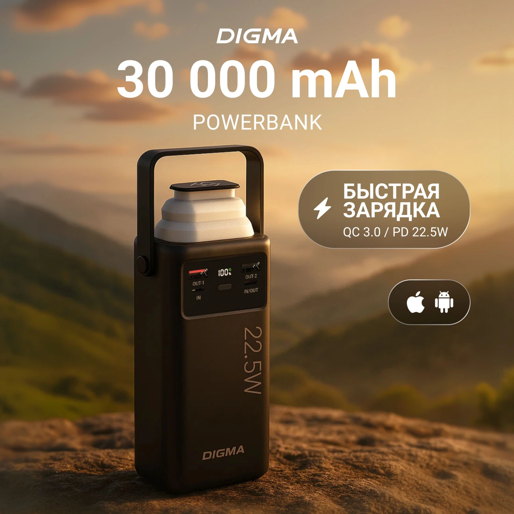 Мобильный аккумулятор Digma DGPF30B 30000mAh QC3.0/PD3.0 22.5W 3A 4xUSB-A/2xUSB-C черный (DGPF30B22PBK) Мобильный аккумулятор Digma DGPF30B 30000mAh QC3.0/PD3.0 22.5W 3A 4xUSB-A/2xUSB-C черный (DGPF30B22PBK)