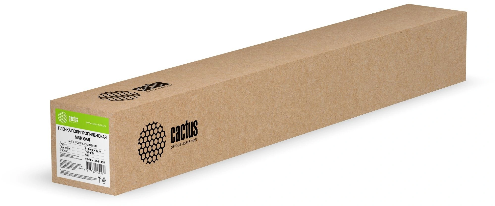 Пленка Cactus CS-PPM160-91430 24"(A1) 914мм-30м/160г/м2/белый матовое для струйной печати втулка:50.8мм (2") Пленка Cactus CS-PPM160-91430 24"(A1) 914мм-30м/160г/м2/белый матовое для струйной печати втулка:50.8мм (2")