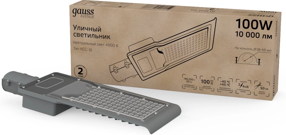 Светильник уличный Gauss Avenue 100Вт ламп.:1шт черный/серый (629534200)