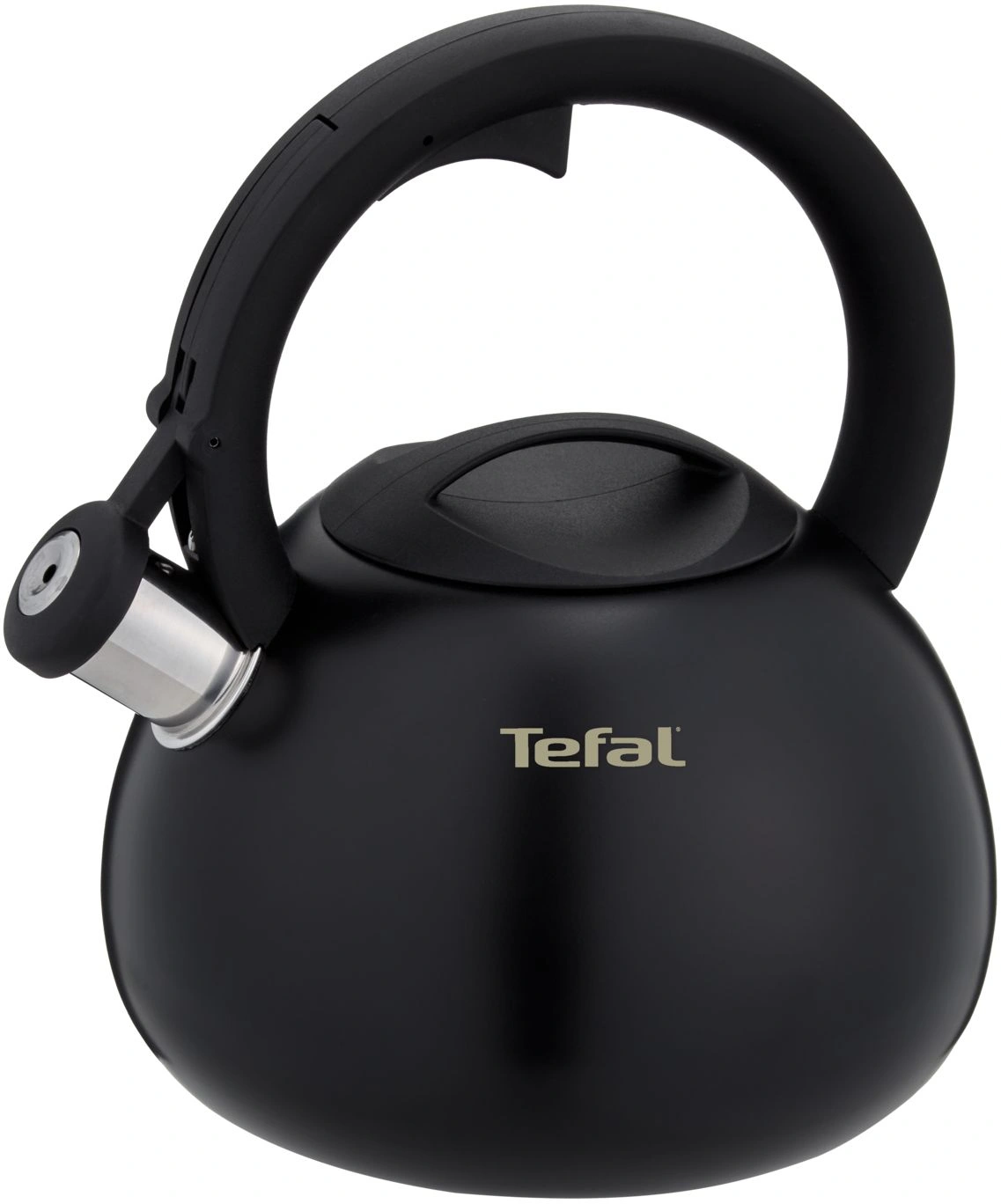 Чайник металлический Tefal Intuition N4180417 2.5л. черный (3110601825)