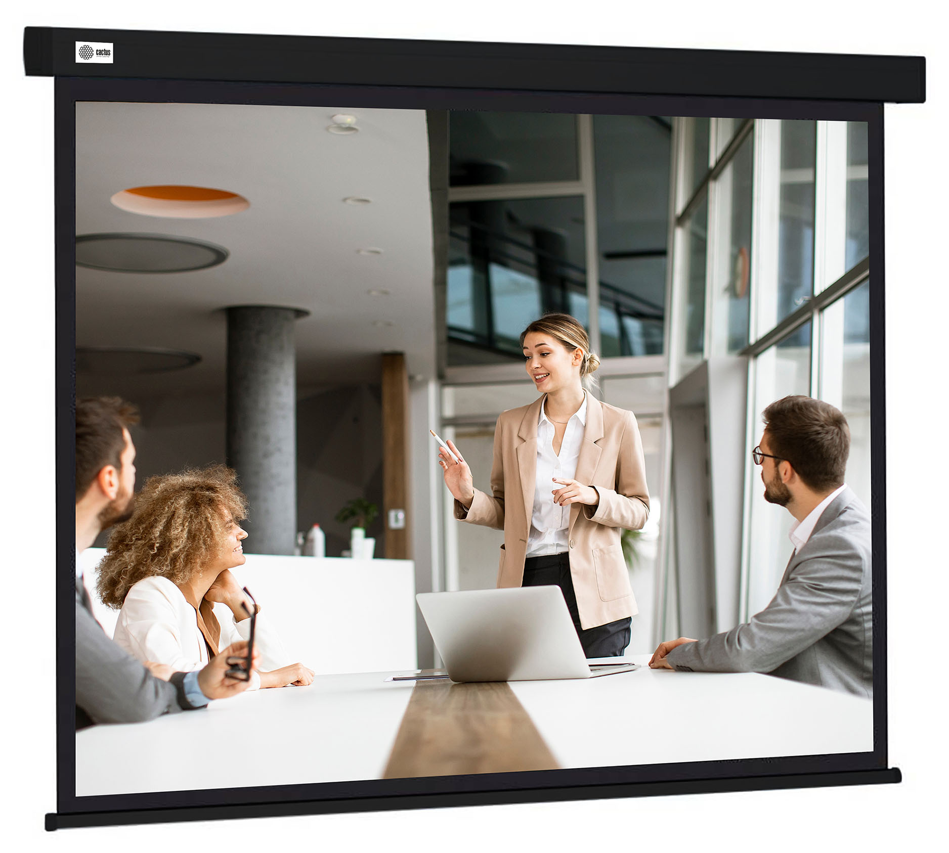 Экран Cactus 135" 168x299см Wallscreen CS-PSW-168X299-BK 16:9 настенно-потолочный рулонный черный Экран Cactus 135" 168x299см Wallscreen CS-PSW-168X299-BK 16:9 настенно-потолочный рулонный черный