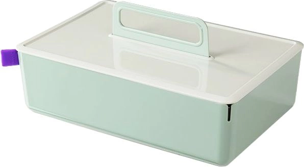 Короб для хранения Deli XDM16green 2отд. 317x212x142,5мм зеленый/серый пластик Короб для хранения Deli XDM16green 2отд. 317x212x142,5мм зеленый/серый пластик