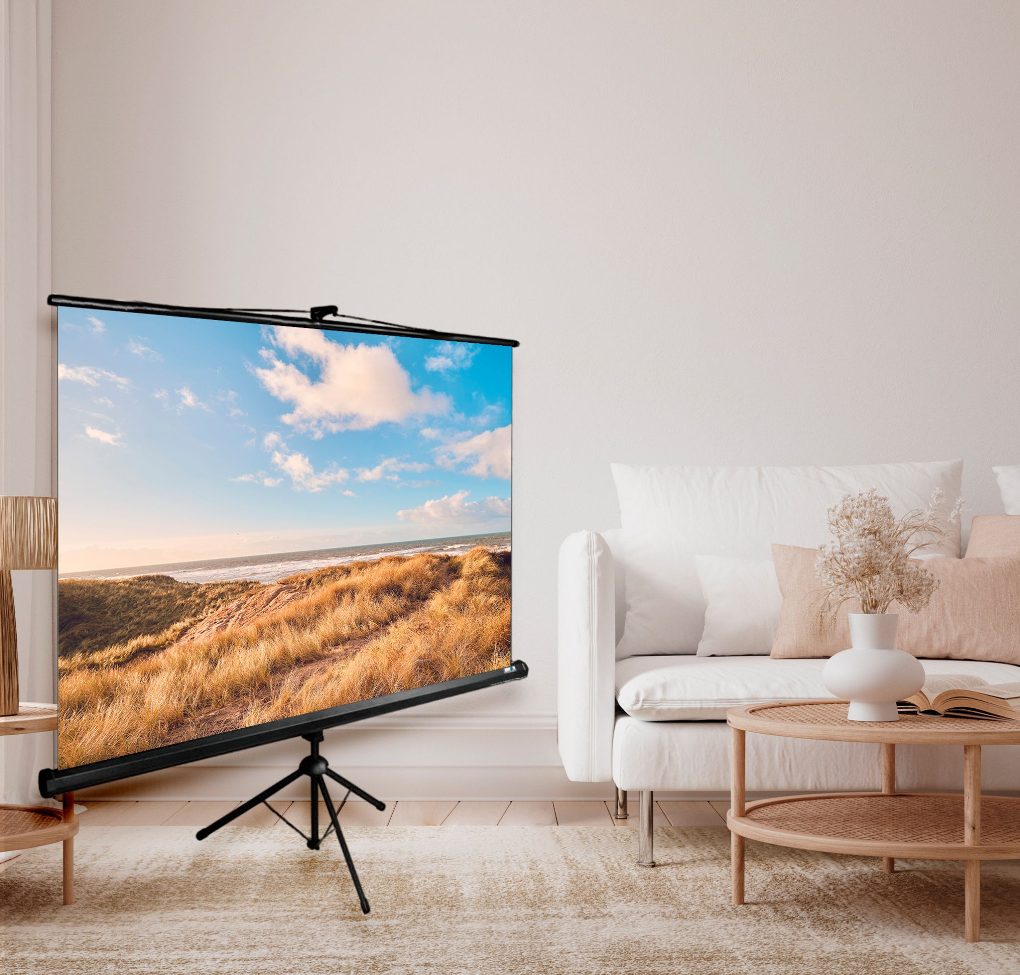Экран Cactus 100" 180x180см Triscreen CS-PST-180x180 1:1 напольный рулонный черный