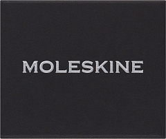 Шильд-символ Moleskine Zodiac Дева металл серебристый коробка с европод. PINVIRGOSILV