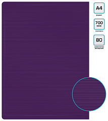 Папка с 80 прозр.вклад. Бюрократ ДеЛюкс DLVBOX80BBERRY A4 пластик 0.7мм черничный в коробе