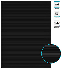 Папка с 100 прозр.вклад. Бюрократ ДеЛюкс DLVBOX100BLCK A4 пластик 0.7мм черный в коробе