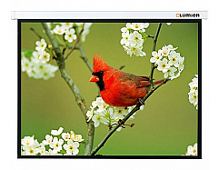 Экран Lumien 165" 305x305см Master Picture LMP-100107 1:1 настенно-потолочный рулонный