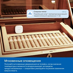 Умный дом TP-LINK Tapo T310 Умный датчик температуры и влажности