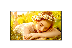 Профессиональный дисплей Профессиональный дисплей LG 86UL5Q-M: UHD; 24/7; 500 кд/м2; Коэффициент матовости экрана 1%; ОС webOS 6.1; Wi-Fi; Динамики 10+10 Вт; Режим видео-стены; 1926.6 X 1098 X 60 мм; 31.8кг