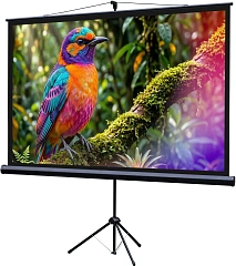Экран Lumien 100" 130x227см Eco Picture LEV-100115 16:9 напольный натяжной черный